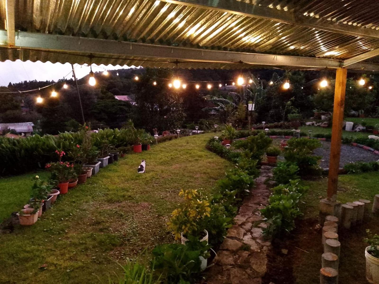 Hostal Vista Boquete Bajo Boquete Екстериор снимка
