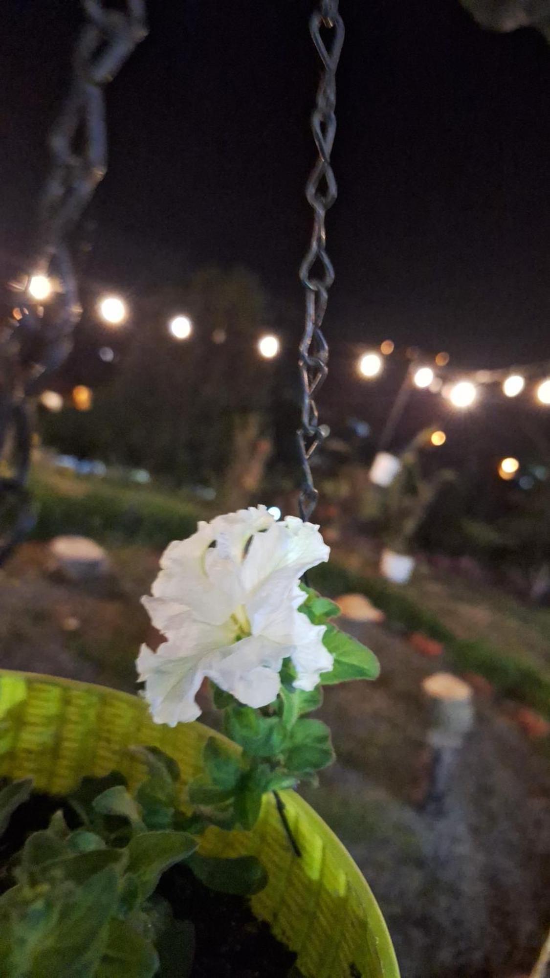 Hostal Vista Boquete Bajo Boquete Екстериор снимка
