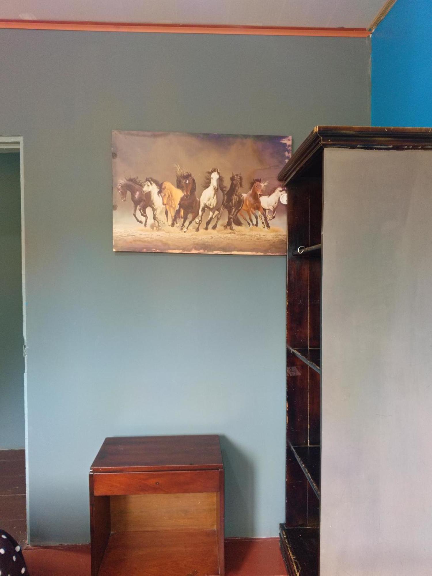 Hostal Vista Boquete Bajo Boquete Екстериор снимка