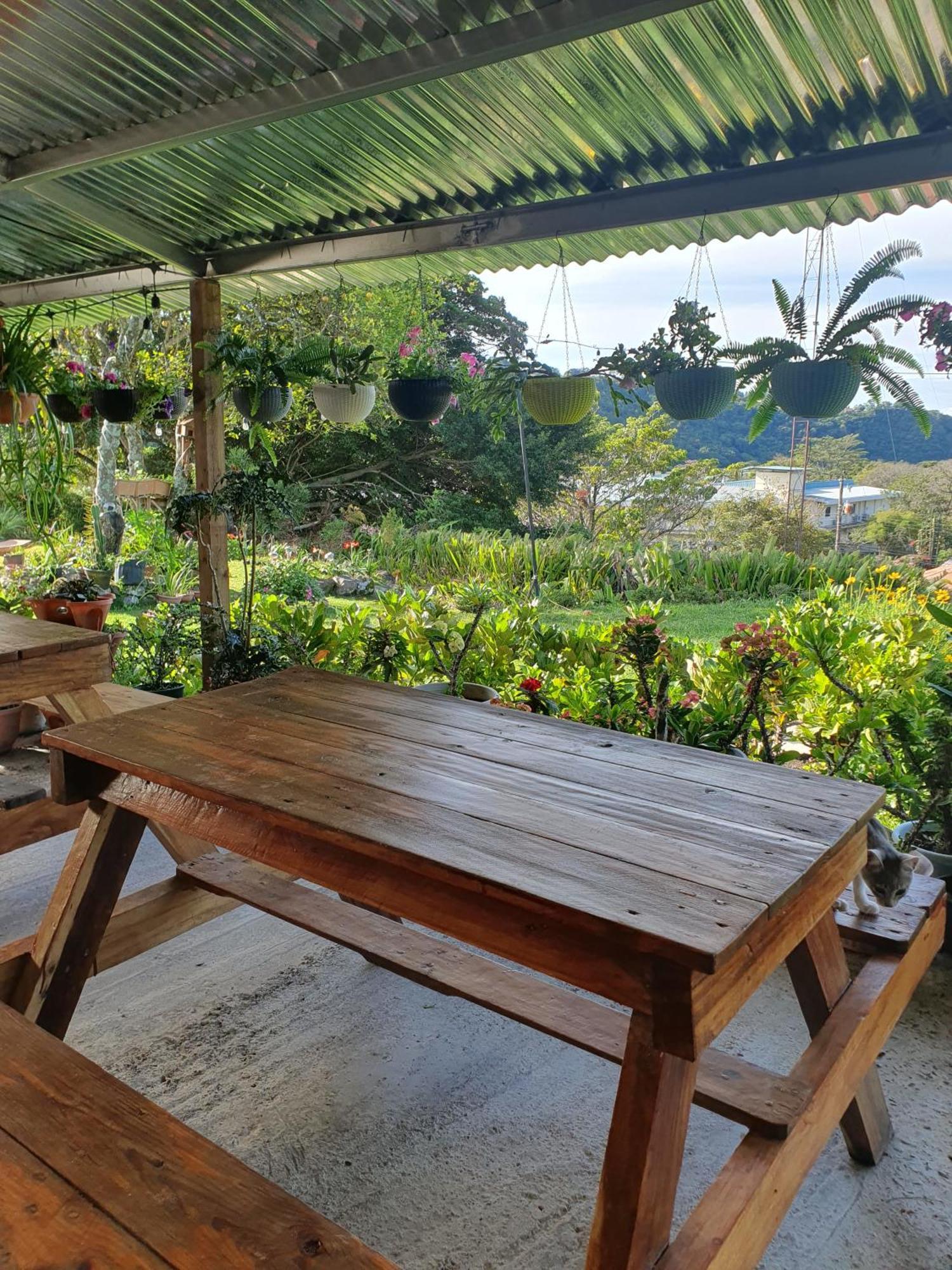 Hostal Vista Boquete Bajo Boquete Екстериор снимка