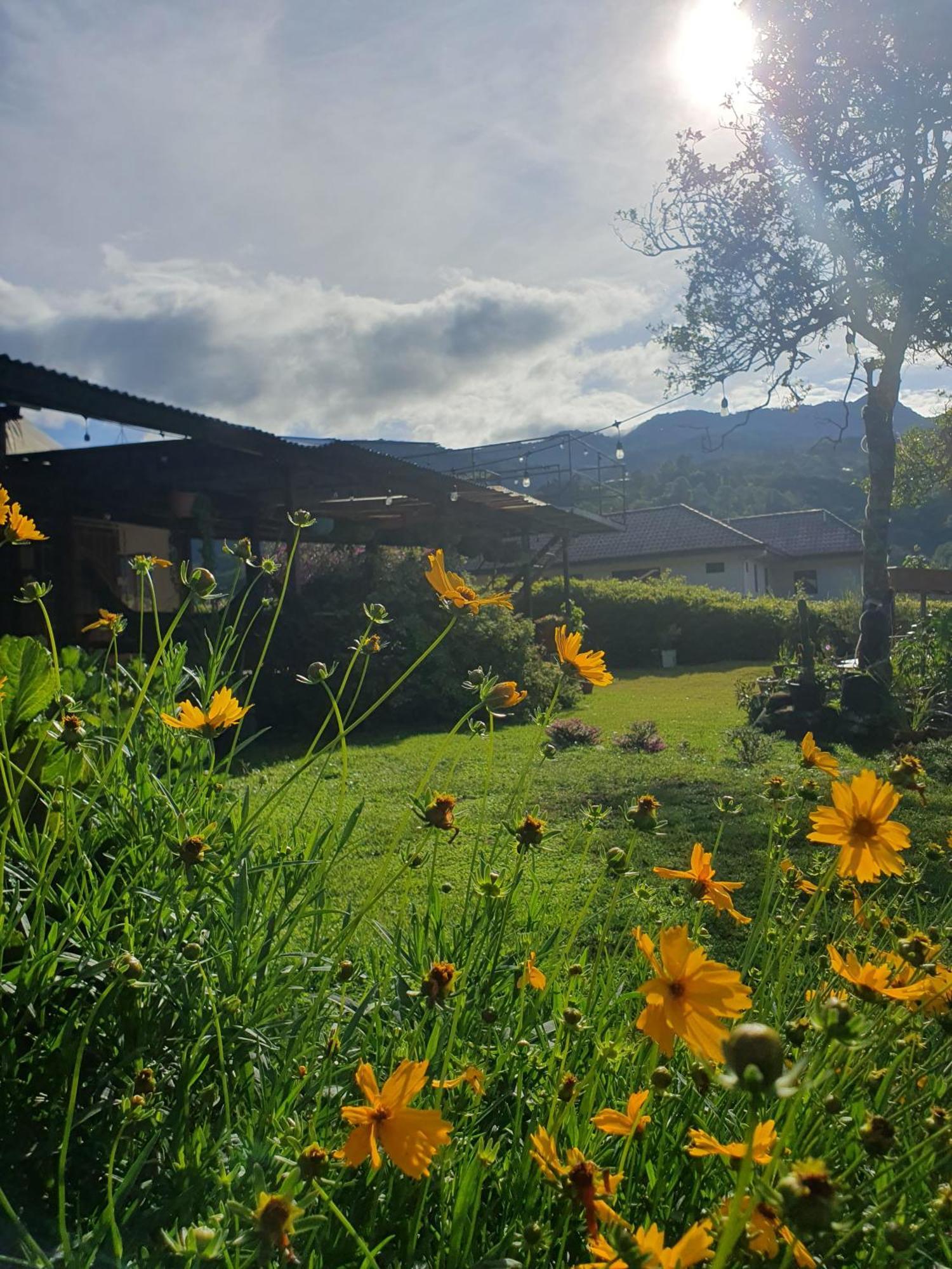 Hostal Vista Boquete Bajo Boquete Екстериор снимка