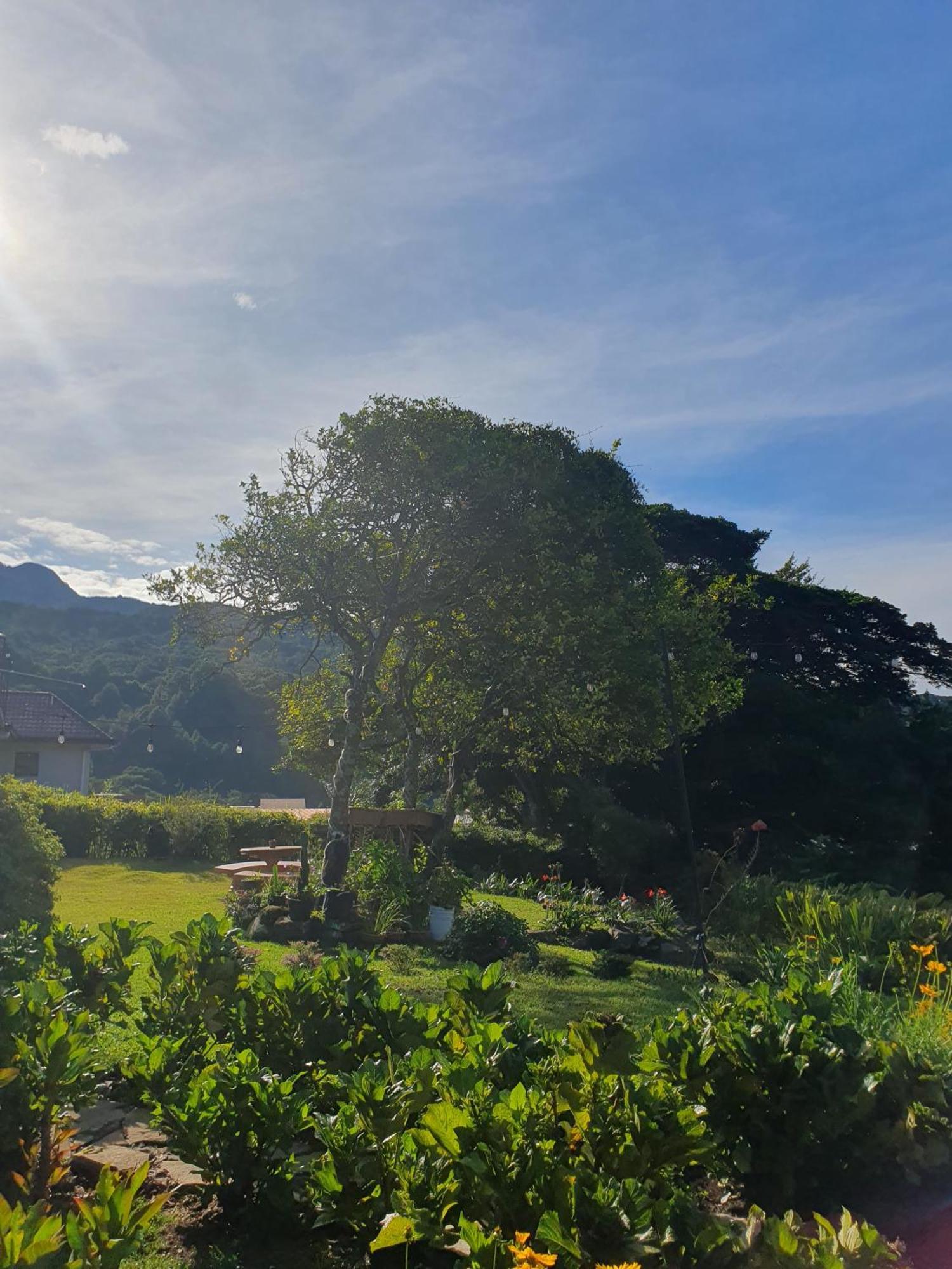 Hostal Vista Boquete Bajo Boquete Екстериор снимка